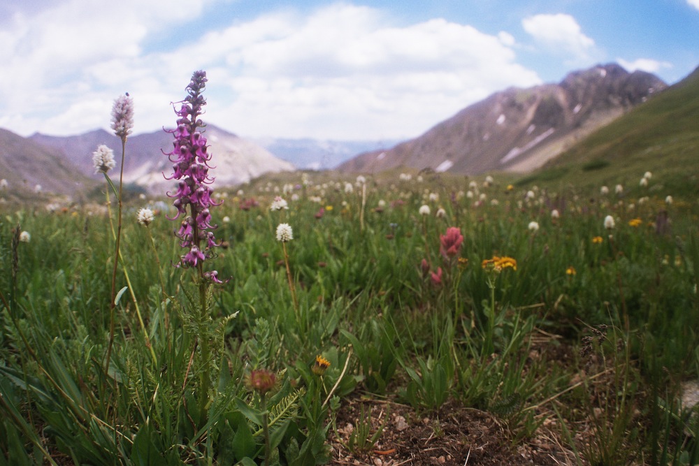 Continental Divide, Parika Lake